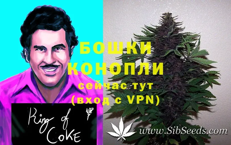 Марихуана White Widow  Сосновка 